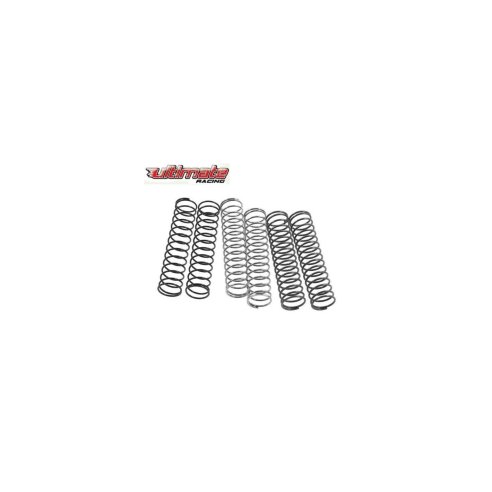 ultimate racing molle big bore SHOCK SPRINGS (6PAIRS)