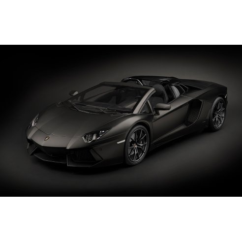 Pocher 1/8 Lamborghini Aventador LP700-4 Roadster Nero Nemesis