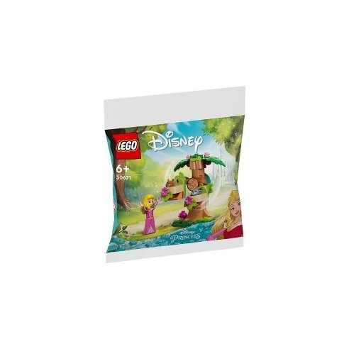 lego Polybag - Disney Princess: Il parco giochi nel bosco di Aurora