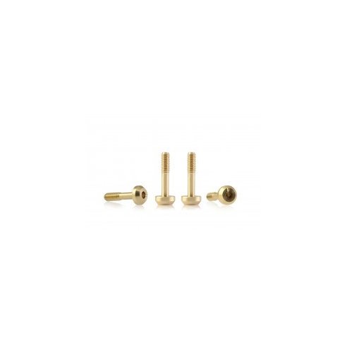 BRM MODEL CARS Suspension brass screw M2 flat head 4.5mm x 9.5mm ? SHORT (x4)