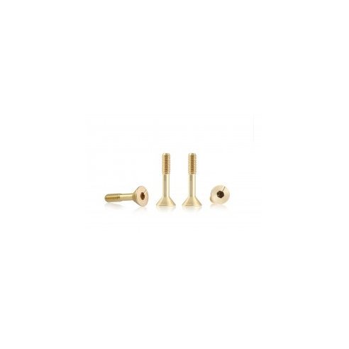 BRM MODEL CARS Suspension brass screw M2 sink head 4.0mm x 9.5mm ? SHORT (x4)