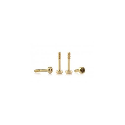 BRM MODEL CARS Suspension brass screw M2 flat head 4.0mm x 11.5mm ? LONG (x4)