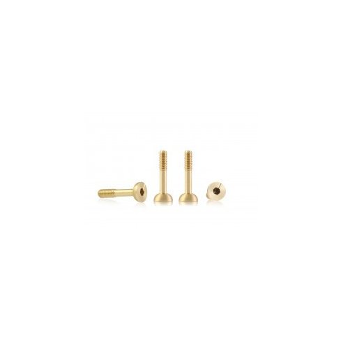 BRM MODEL CARS Suspension brass screw M2 spherical head 4.5mm x 9.5mm ? SHORT (x4)