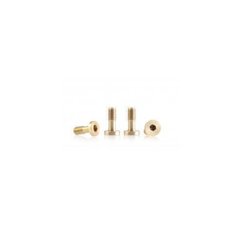 BRM MODEL CARS Metric brass screw ?extra small? M2 flat head 3.8mm x 6.5mm ? (x6)