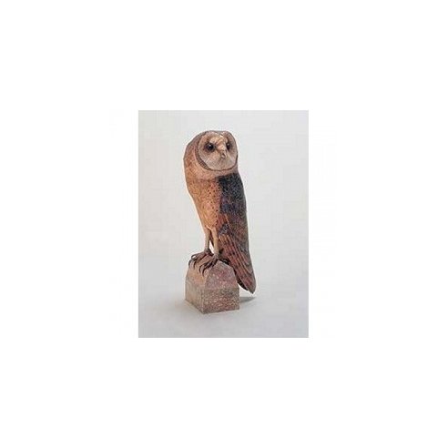 SCHREIBER BOGEN Barn Owl in scala 1:1