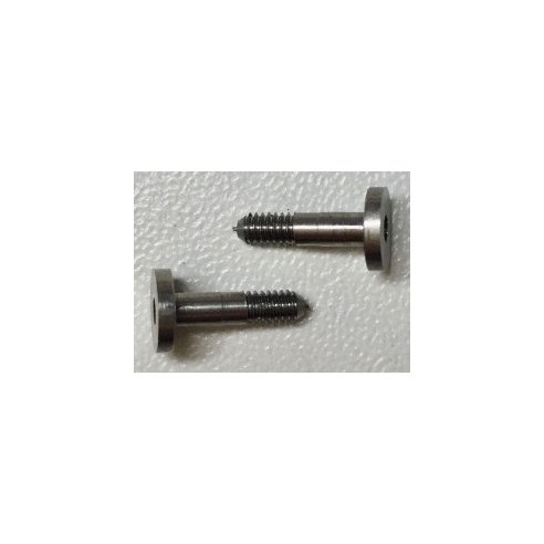 REVOSLOT Guide steel screws (x2)