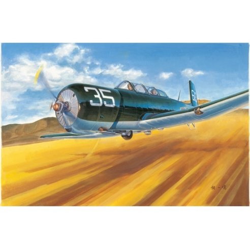 TRUMPETER KIT CJ-6 FIGHTER 1/48