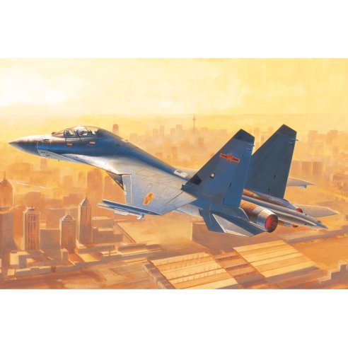 HOBBY BOSS kit J-16 1/48